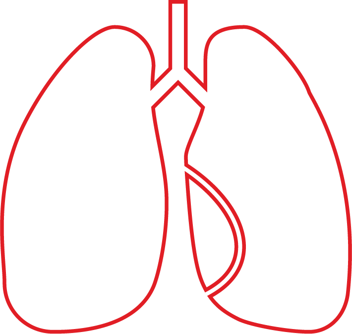 Icon of lungs